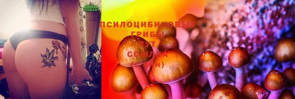гашиш Гусь-Хрустальный