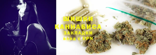 амф Гусиноозёрск