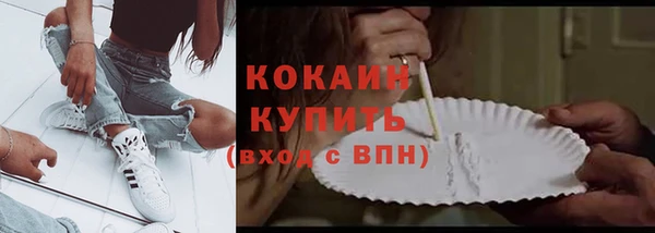 амф Гусиноозёрск