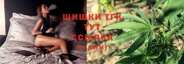амф Гусиноозёрск